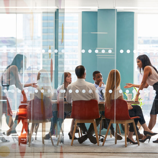 ORGANIZATIONAL COACHING